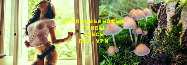 не бодяженный Аркадак