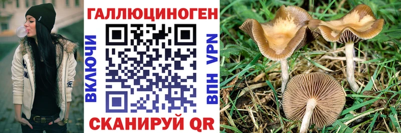 мега   продажа наркотиков  Петушки  Галлюциногенные грибы Psilocybe 